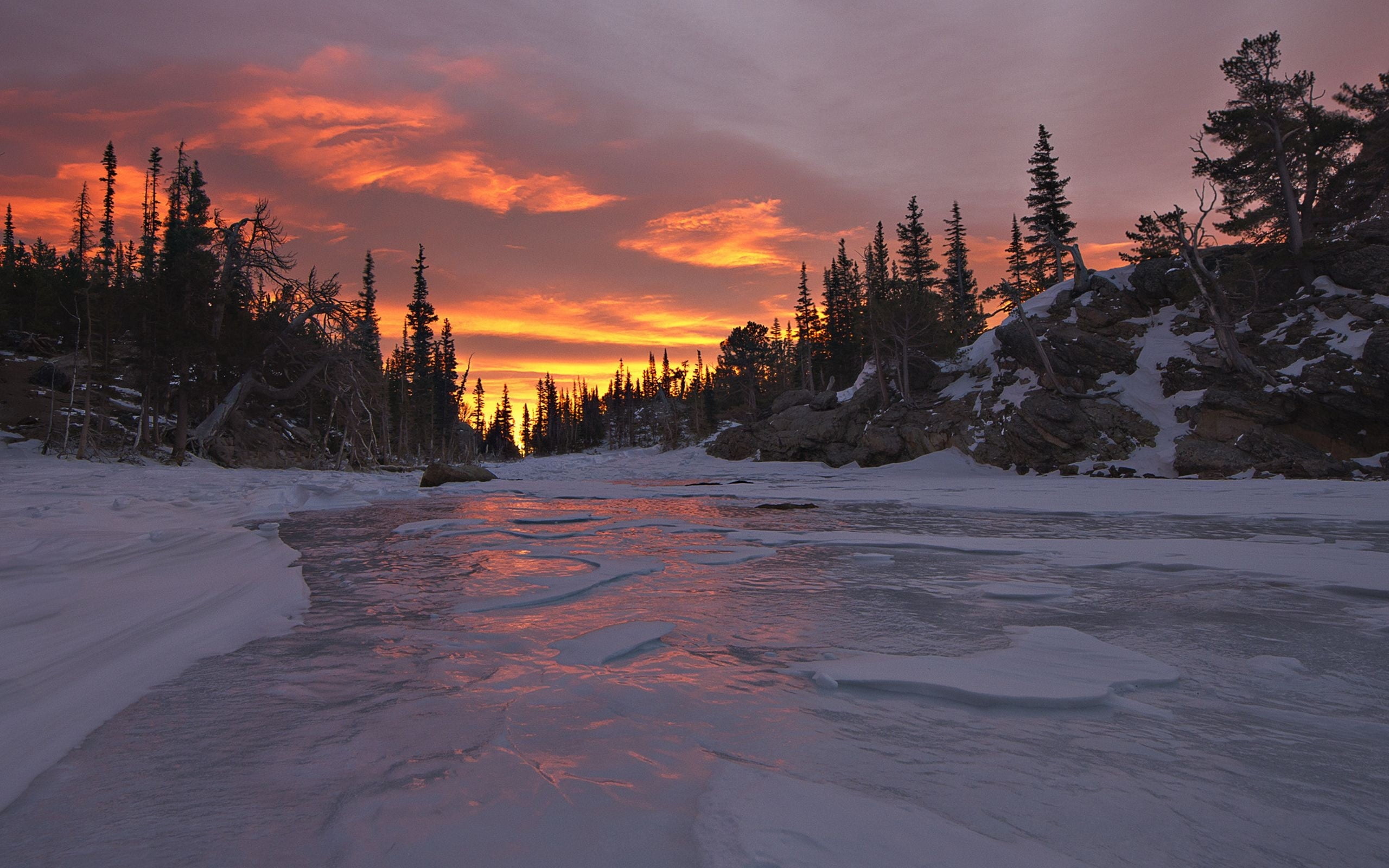 landscape photography of frozen river between trees during golden hour