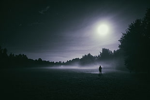 person standing beside tree under moon photograph HD wallpaper