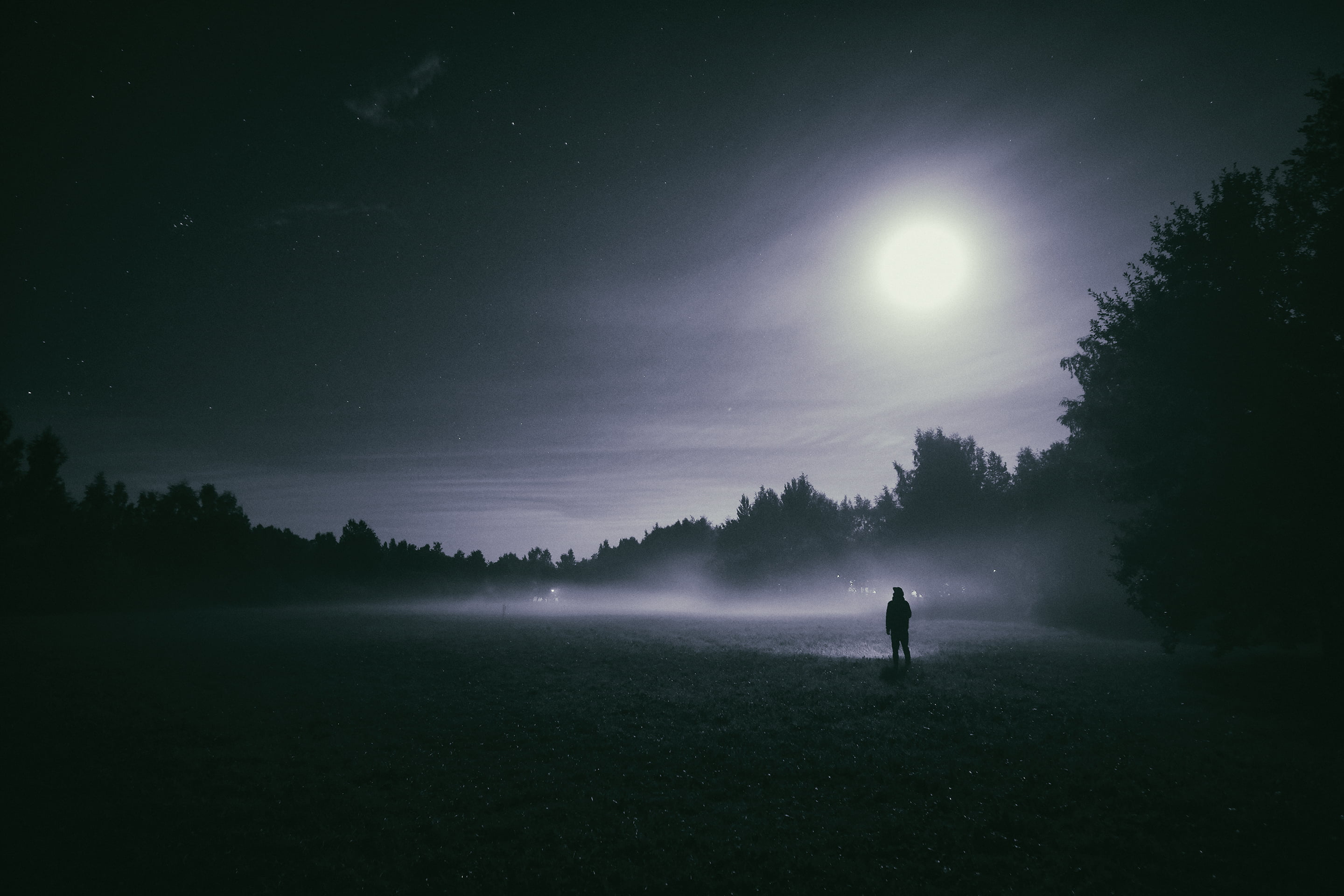 person standing beside tree under moon photograph