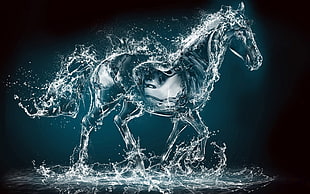 clear horse illustration, horse, water, artwork, liquid