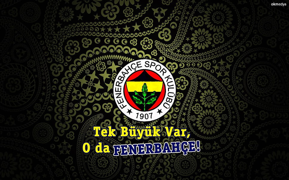 Fenerbahce logo, Fenerbahçe HD wallpaper