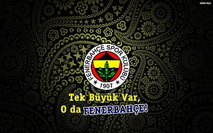 Fenerbahce logo, Fenerbahçe HD wallpaper
