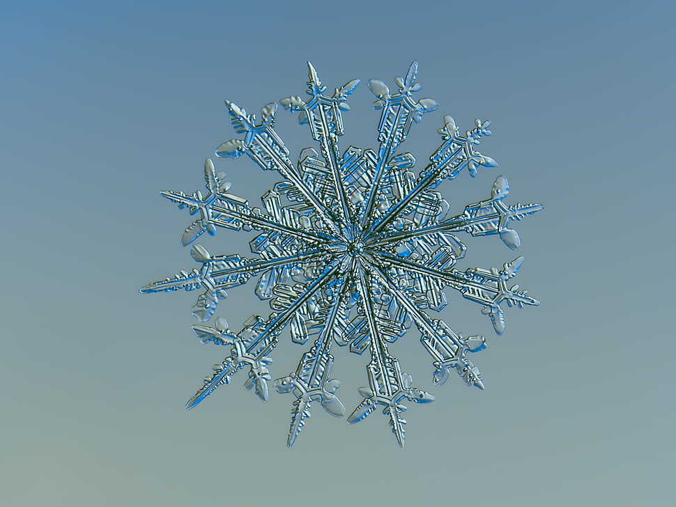 silver Snowflakes decor HD wallpaper