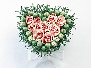pink roses heart form