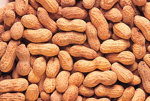 close up photo of peanuts HD wallpaper