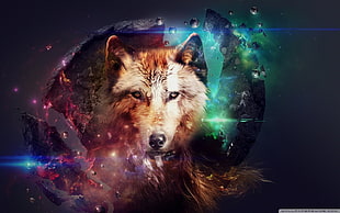 wolf digital wallpaper, wolf, artwork, animals, digital art