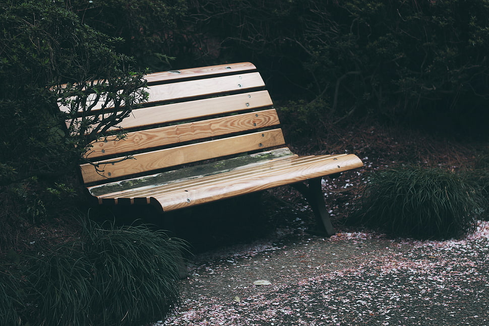 brown wooden bench HD wallpaper