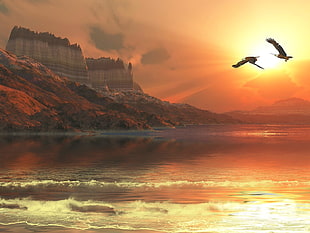 two brown flying birds digital wallpaper, nature, landscape, eagle, flying