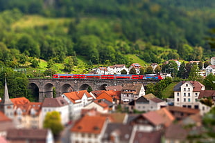 red and blue train on top of brown concrete bridge near white-and-brown houses and green leaf trees at daytime