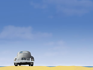 gray car, old car, Volkswagen Beetle, nature