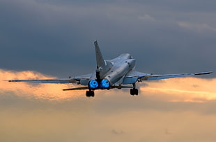 gray fighter jet flying during daytime HD wallpaper