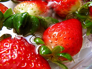 still life photography of strawberries