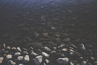 gray pebbles, rock HD wallpaper