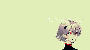 Kaworu illustration, Kaworu Nagisa, Neon Genesis Evangelion HD wallpaper