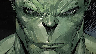 The Incredible Hulk illustration, comics, Hulk, Marvel Comics