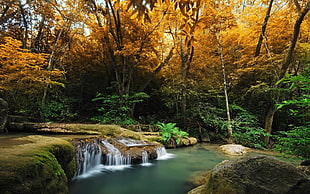 landscape, nature, waterfall HD wallpaper