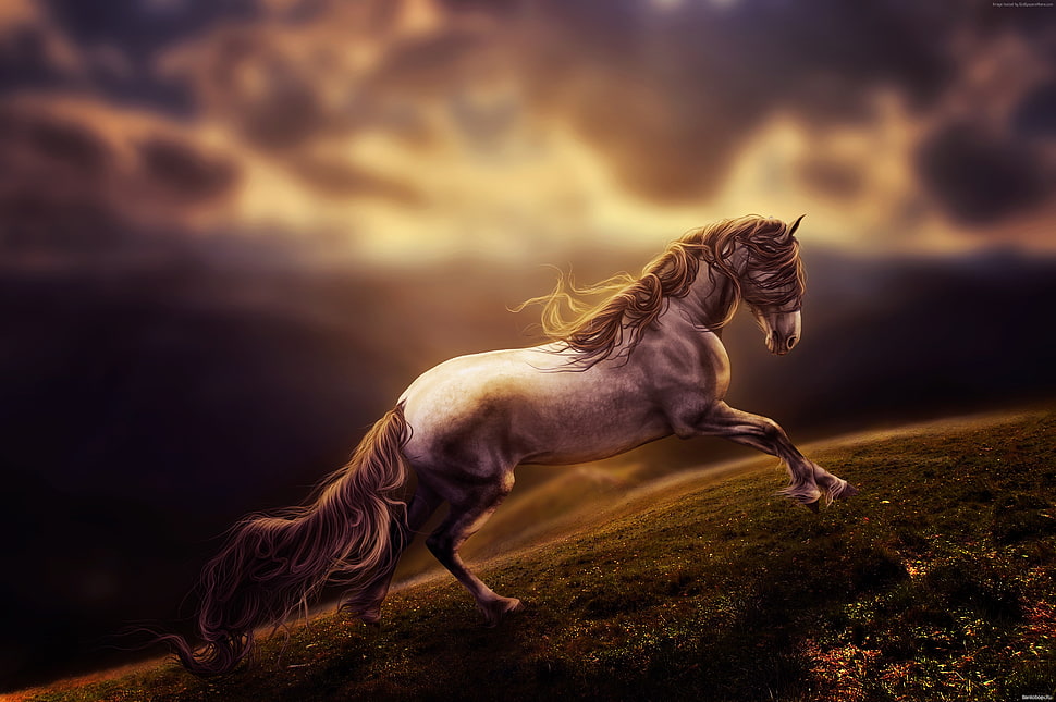 brown and white horse 3D illustration HD wallpaper