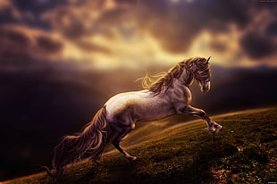 brown and white horse 3D illustration
