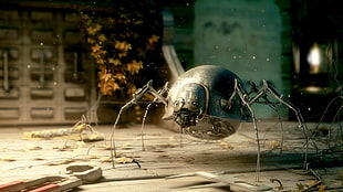 black insect robot, fantasy art HD wallpaper