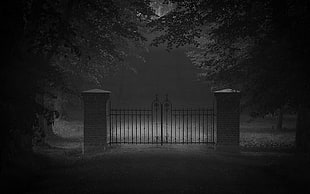 wrought iron gate, nature, landscape, monochrome, dark
