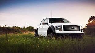 white Ford crew cab pickup truck, transport, car