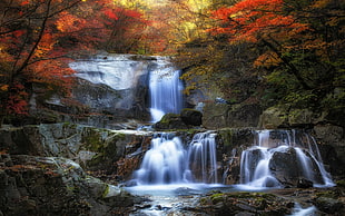 photo of waterfalls, nature, landscape, fall, waterfall