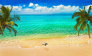 green ocean water under blue sky, nature, landscape, sand, beach