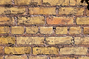 beige wall bricks HD wallpaper