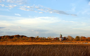 brown wheat field, landscape, field, windmill HD wallpaper