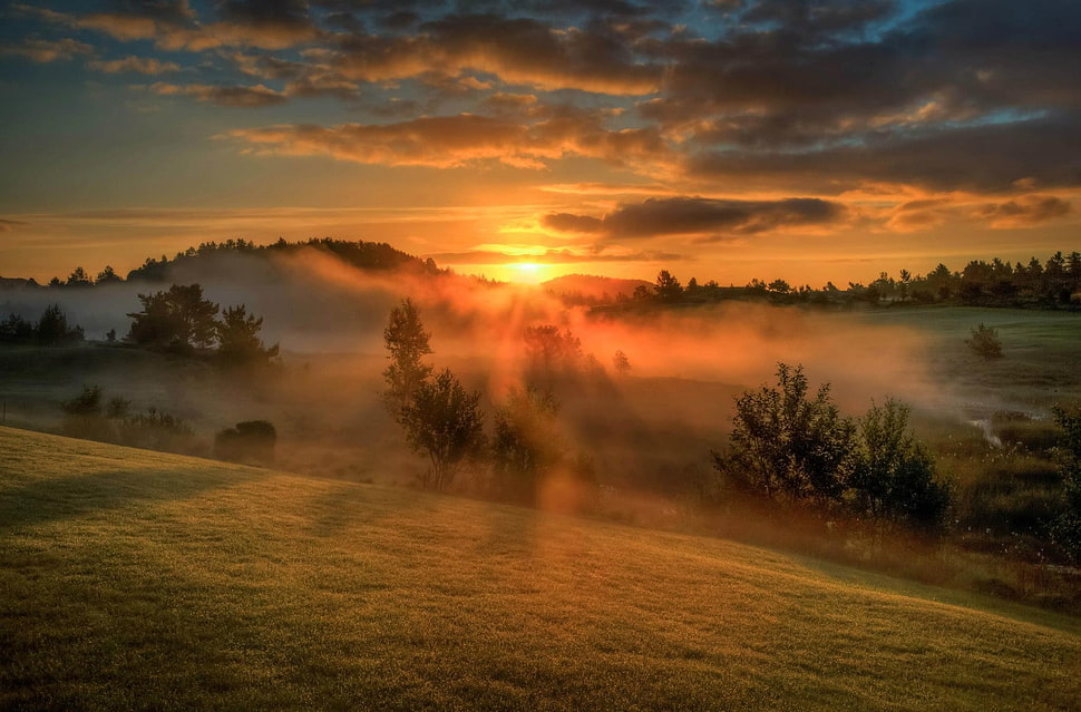 green mountain, clouds, sunset, mist, trees HD wallpaper