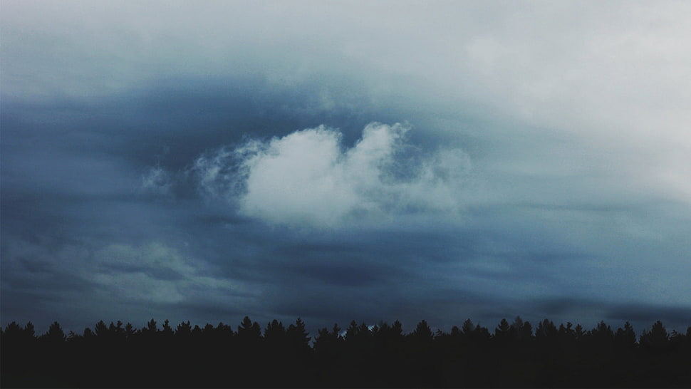 trees under white clouds, landscape HD wallpaper