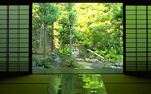photo of open sliding door showing green leaf trees