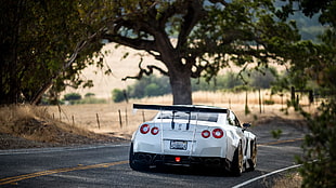 silver Nissan GTR coupe