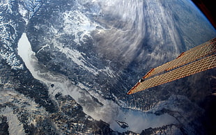 brown and black fish with fish, atmosphere, satellite, planet, space