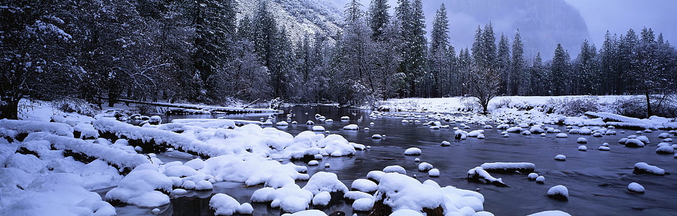 gray river, landscape, ice, forest, snow HD wallpaper