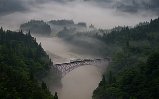 brown steel bridge, landscape, nature, forest, bridge