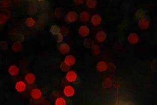 photography of red bokeh