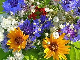 Cornflowers, baby's breath flowers and sunflowers closeup photo