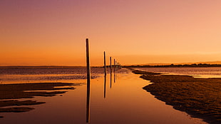 black wooden poles at shoreline during golden hour