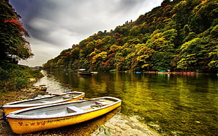 two yellow boats, nature, river, boat, trees