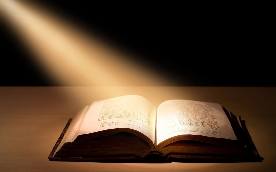 brown book inside lighted room HD wallpaper