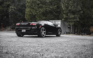black Lamborghini Gallardo HD wallpaper