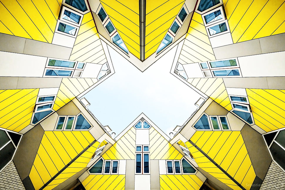 yellow, brown, blue, and white architectural illustration, house, Rotterdam, Netherlands HD wallpaper