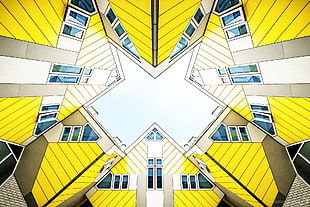 yellow, brown, blue, and white architectural illustration, house, Rotterdam, Netherlands