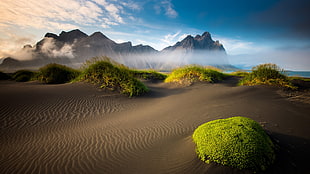 green grass, landscape, nature, Iceland