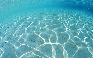 underwater photography of ocean HD wallpaper