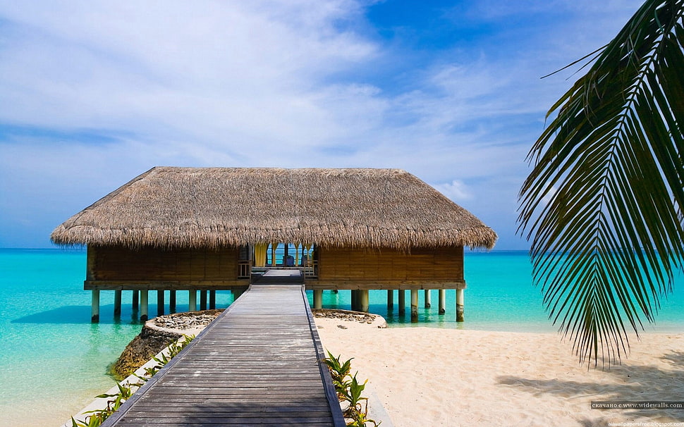 brown nipa hut on seashore during day time HD wallpaper