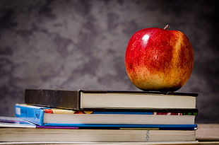 red Apple on top of two books HD wallpaper