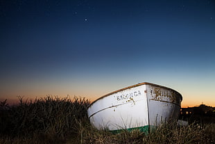 white rowboat on a green grasses during dusk