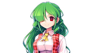 green haired female anime character, Touhou, green hair, Kazami Yuuka, red eyes